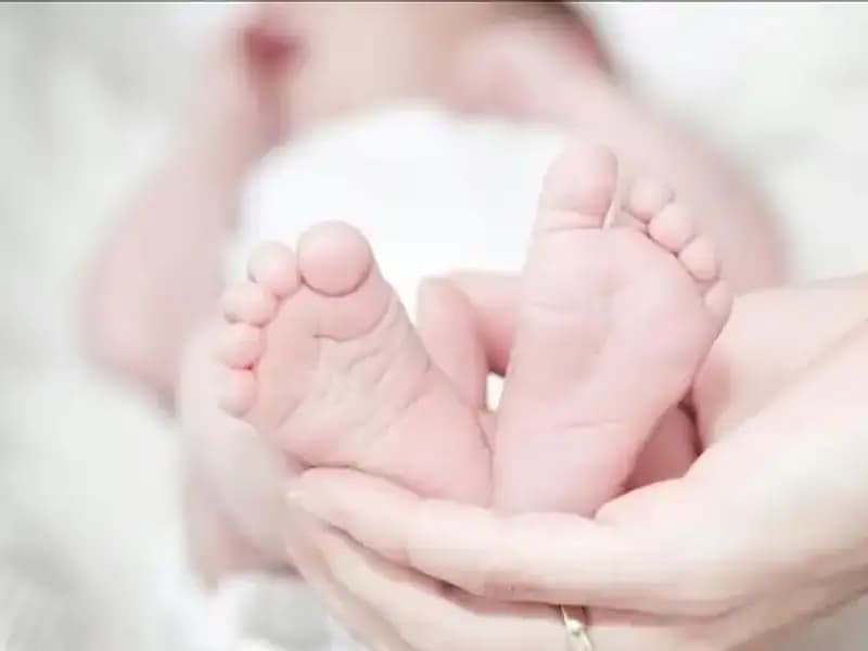 Türkiye'deki Yenilenebilir Enerji Potansiyeli ve Geleceği Hakkında Her Şey