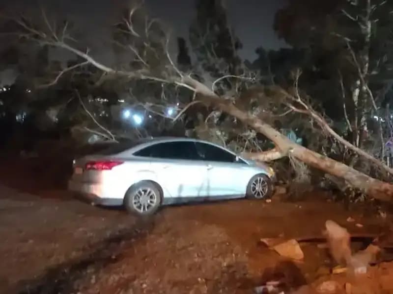 Hatay’da Yaşanan Şiddetli Fırtına: Doğaya ve Hayata Zarar Verdi