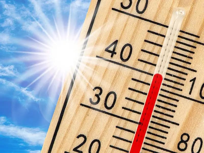 Dünya 2024'te Sıcak Rekor Kırdı!