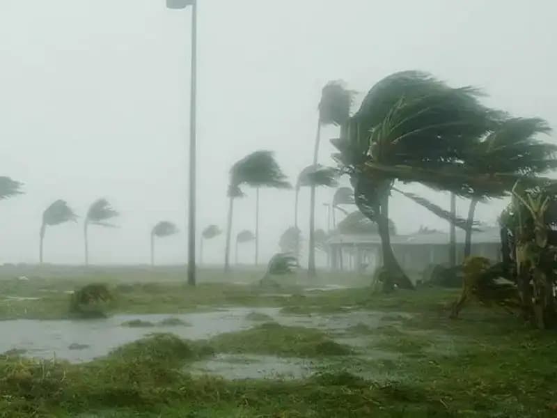 Çin'in Başkenti Pekin'i Vuran Şiddetli Rüzgarlar Hayatı Olumsuz Etkiledi