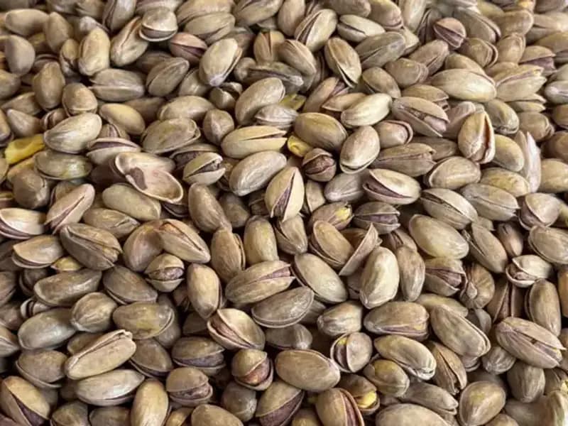 Türkiye'nin Fıstık İhracatında Rekor: 59,7 Milyon Dolar!