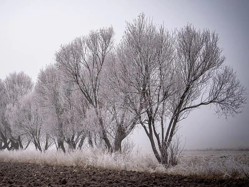 Doğu buz kesti: Erzurum eksi 18 dereceyi gördü
