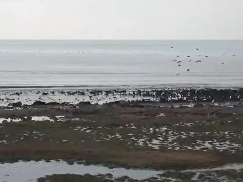 Türkiye’nin En Büyük Gölü Tehlikede: Ciddi Su Kaybı Krizi Dikkat Çekiyor