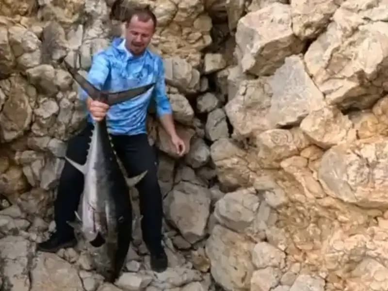 Saros'ta Oltaya Takılan Tam 30 Kilo Ağırlığındaki Dev Balık Şaşırttı