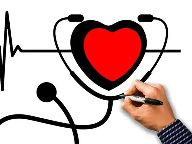 Aort Damarı Nedir? Yırtılma Nedenleri ve Belirtileri