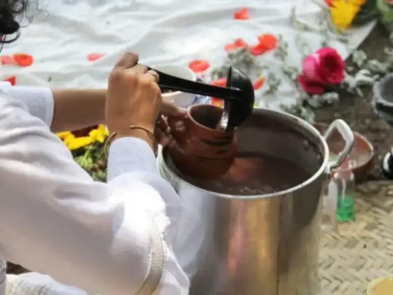 Ayahuasca: Gizemli Şifalı İçki ve Yasal Durumu Nedir?