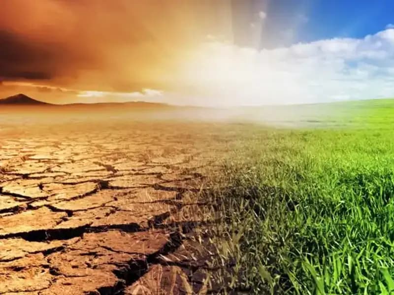 İklim Kanunu Nedir? Doğanın Geleceği İçin Belirleyici Maddeler