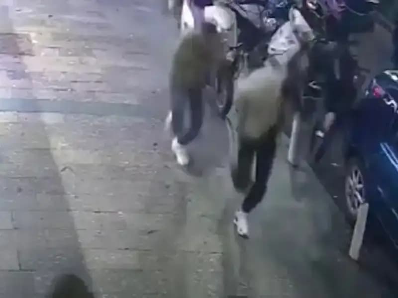 Hakkari Seçim Krizinin Gölgesi İstanbul’a Düştü: Ne Oluyor?