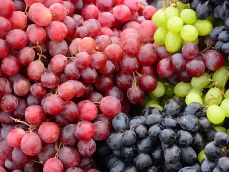 Yeşil Üzüm mü, Siyah Üzüm mü? Doğru Seçimi Yapmanın Yolu