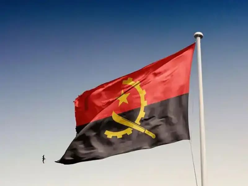 Angola’ya Girmek İsteyen Siyasiler Gözaltında: 20 Kişi Tutuklandı