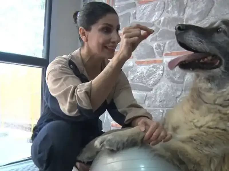 Obeziteyle Mücadele: 55 Kilo Fazla Taşıyan Duman'ın İnanılmaz Zayıflama Hikayesi