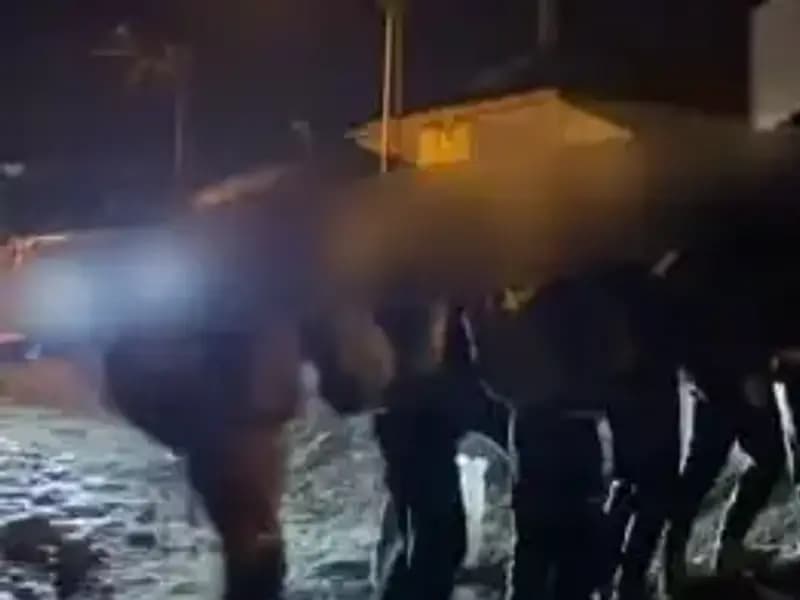 Van'da Göçmen Kaçakçılığı Operasyonu: 14 Kişi Gözaltına Alındı