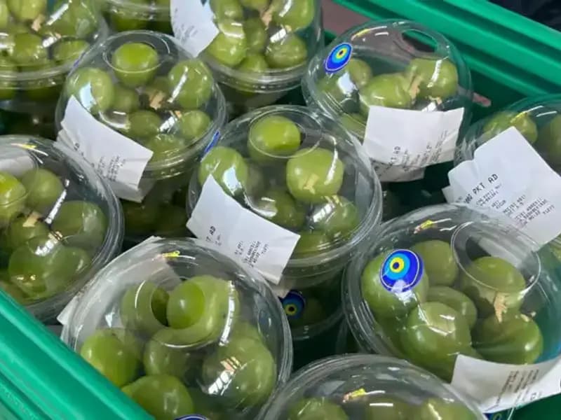 Don Vurmasının Tarım Üzerindeki Yıkıcı Etkisi: Rekolte Düştü, Fiyatlar 450 Lirayı Buldu