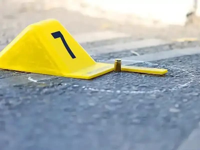 2024'te 394 Kadın Cinayeti: Farklı İsimler, Aynı Sonlar