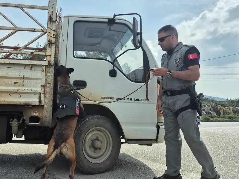 Ramazan Bayramı Öncesi Bodrum'a 25 Bin Araç Girişi Sağlandı