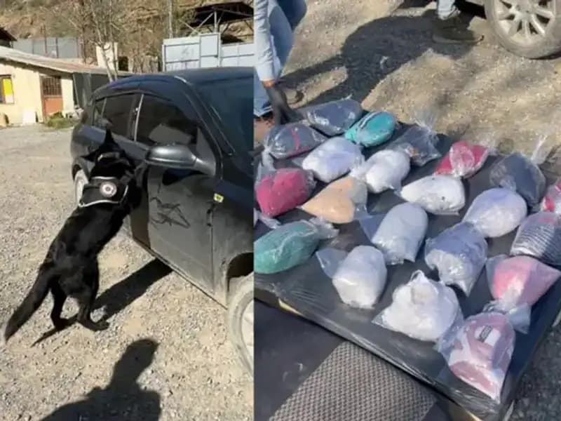 Şüpheli Otomobil Durduruldu: Uyuşturucu Ormanında Yakalandı!