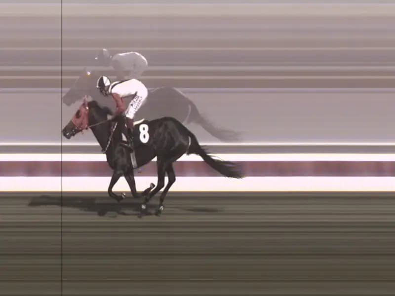 Mersin'de Kavurmada Çıkan At Eti, İngiliz Yarış Atına Ait