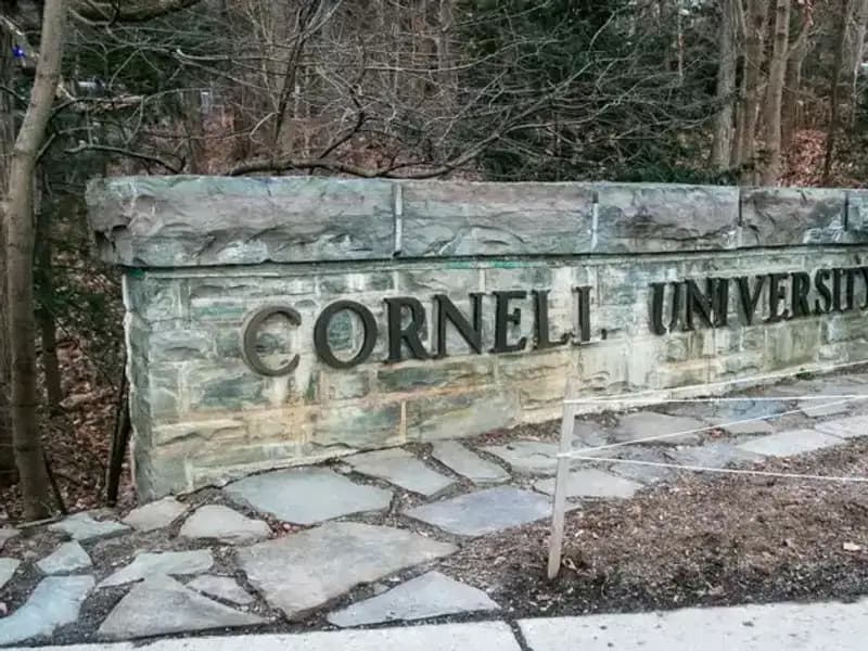 Trump Yönetimi, İki Üniversitenin Federal Fonlarını Neden Dondurdu?