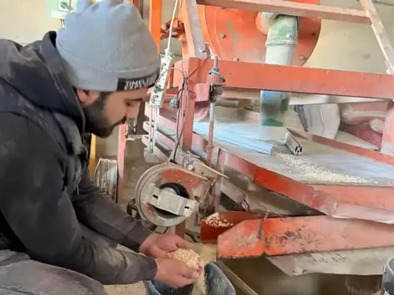 Baharın Coşkusuyla Şehirdeki Hareketlilik Zirveye Ulaşıyor!