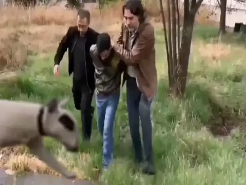 430 Bin Lira Değerindeki Şampiyon Köpeği Çalan Hırsız Yakalandı!