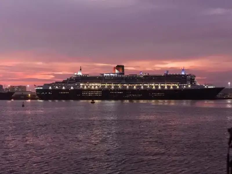 Devasa Yolcu Gemisi Norovirüs Salgınına Karşı Alarmda