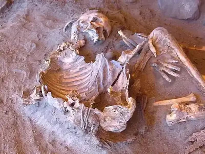 Yeni Mumya Keşfi: İnsanlık Tarihinin Gizemleri Aydınlanıyor