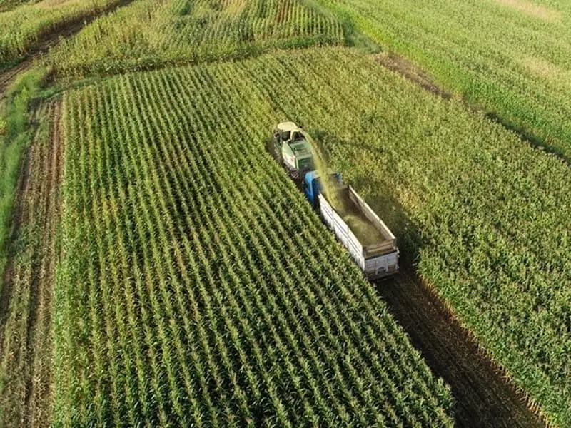 Üreticilere 2,3 Milyar TL Destekleme Ödemesi Yapılacak