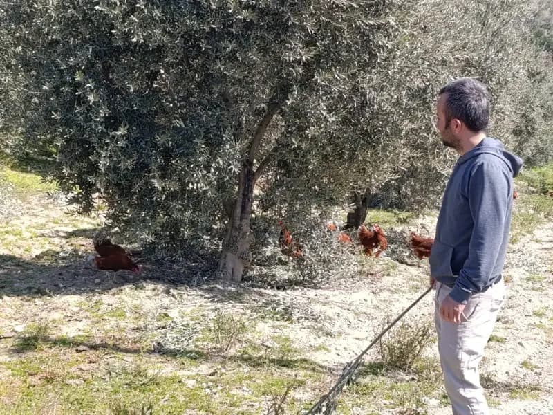 Artan Ev Kiraları Nedeniyle Şehirden Kaçan Genç, Köyde Üretiyor