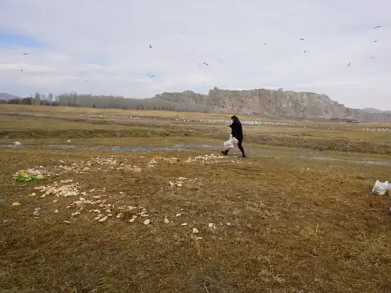 17 Yıldır Ekmek Kırıntıları Toplayan Adamın Hikayesi