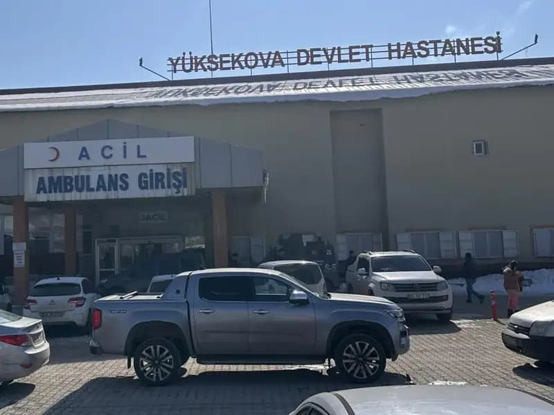 Hakkari'de Köpek Saldırısında Çocuk Öldü