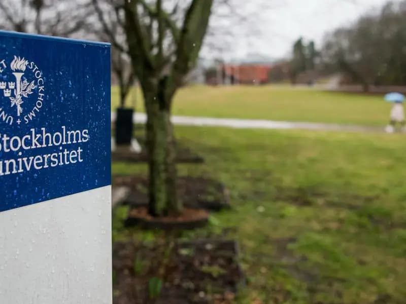 İsveç'te Türk Öğrenciye Ayrımcılık Yapan Üniversite Suçlu Bulundu