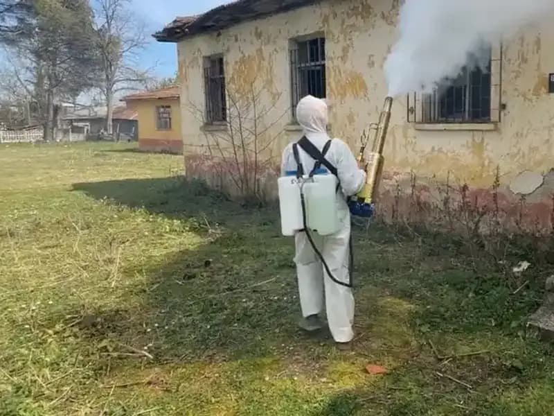 Çiftçiler Kahverengi Kokarcaya Karşı Nasıl Mücadele Ediyor?