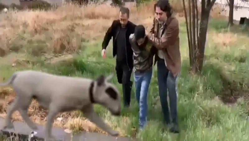 430 Bin Lira Değerindeki Şampiyon Köpeği Çalan Hırsız Yakalandı!