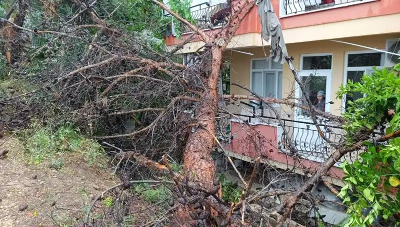 Terkedilmiş Bina Yağmura Dayanamadı: Çökmeye Yüz Tutan Mektuplar