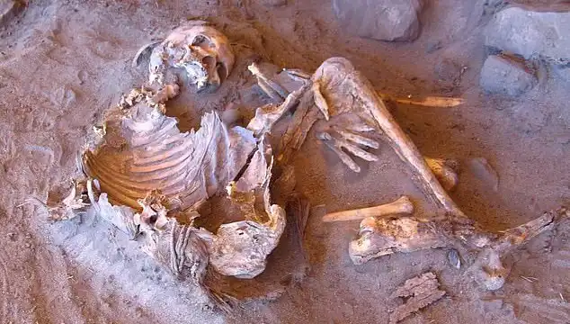 Yeni Mumya Keşfi: İnsanlık Tarihinin Gizemleri Aydınlanıyor