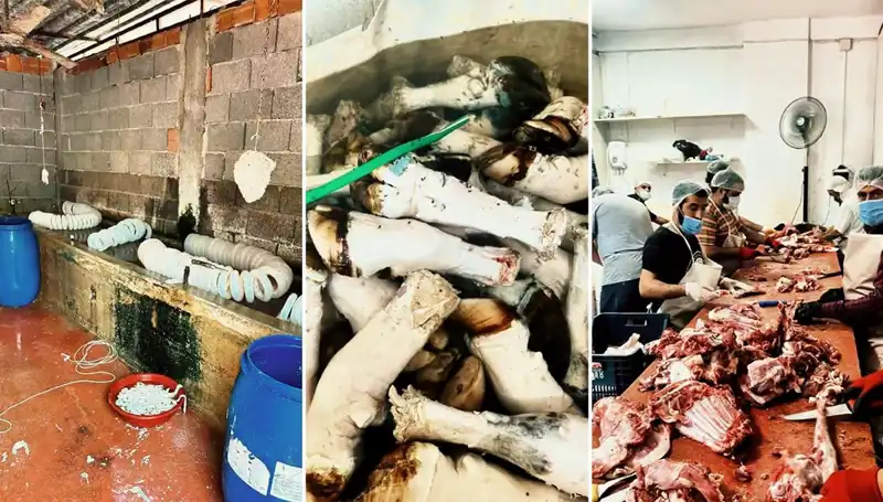 Adana'da Yüzlerce Kilo Kaçak Paça Ele Geçirildi: Skandal Ortaya Çıktı