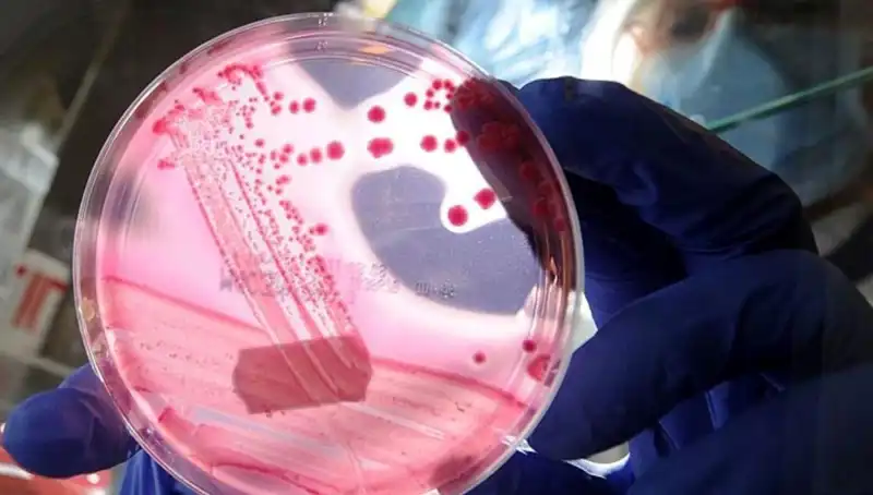 AP2A1 Proteini: Yaşlanmayı Unutturan Keşif ve Beklentiler