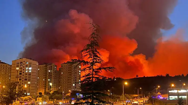 Bursa'da Korkutan Yangınlar: Şehirde Panik Yaratan Gelişmeler