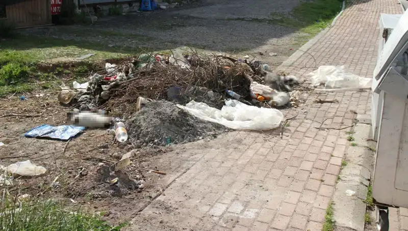 Antalya'da Kedi Katliamı: 10 Hayvanın Ölümü Şaşkınlık Yarattı