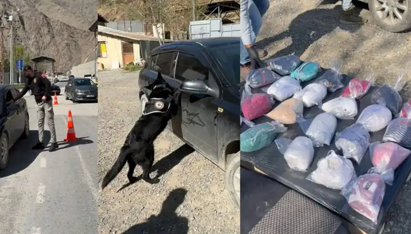 Şüpheli Otomobil Durduruldu: Uyuşturucu Ormanında Yakalandı!