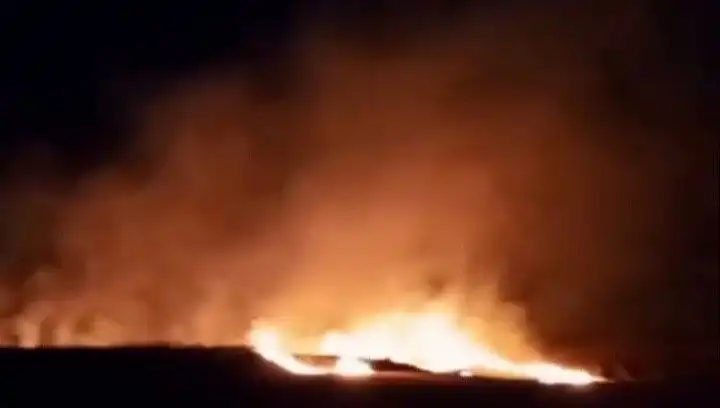 Tekirdağ’da 20 Dekar Buğday Alanı Alevlere Yenik Düştü: Kayıplar Büyük!