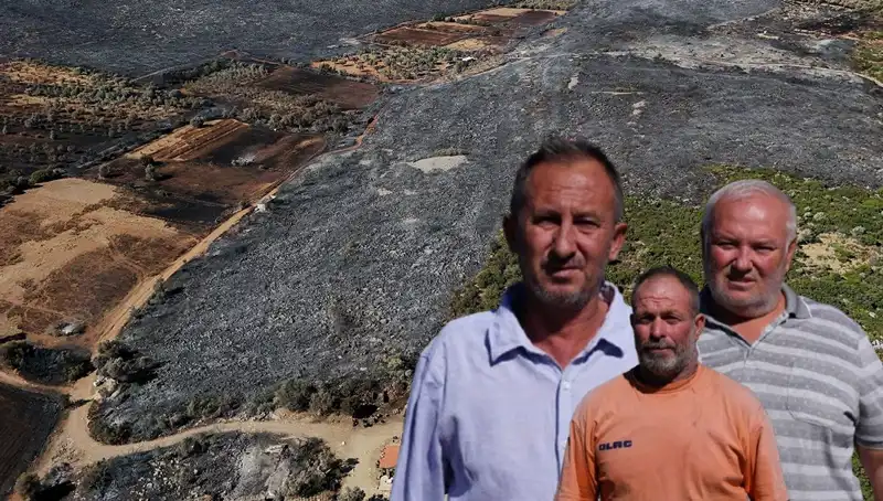 Çeşme Yangınında Yüzlerce Hayat Karardı: "Her Şeyim Gitti" Diyenler Var