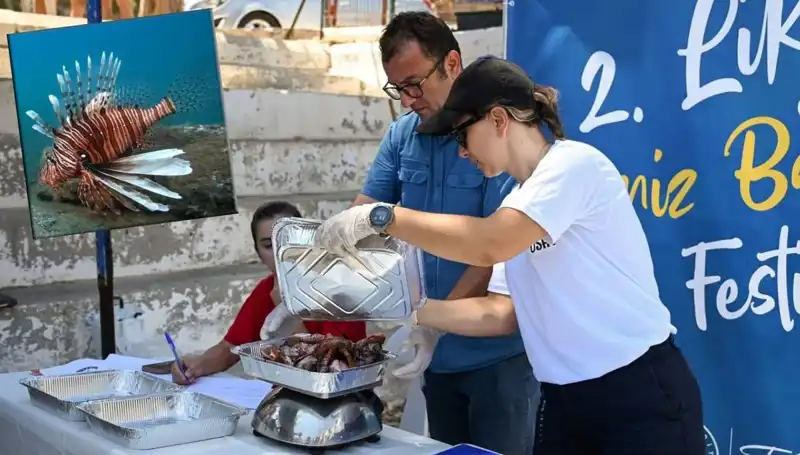 Antalya'da İstilacı Aslan Balığı Avlama Yarışması: Doğayı Koru, Ödül Kazan!