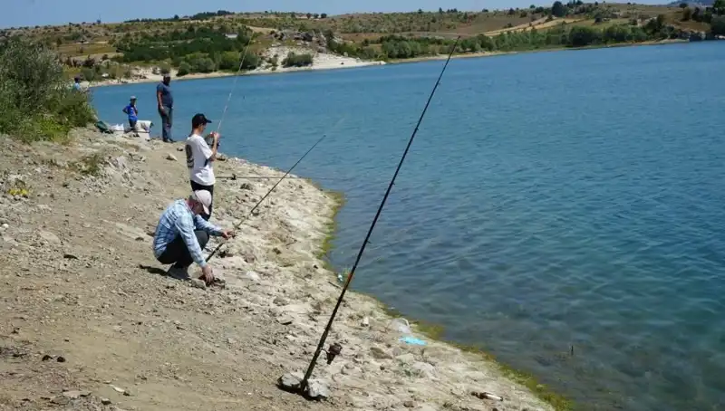 Kafesler Patladı: Baraja Koşan Kalabalıkların Arka Planındaki Gizem Nedir?