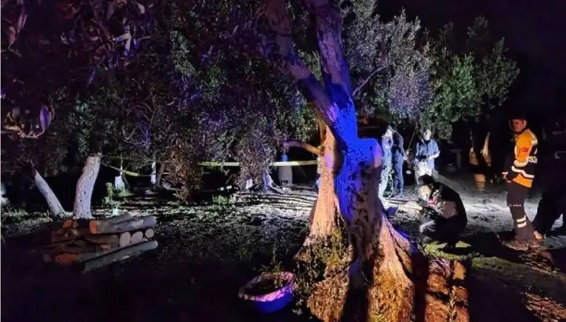 Çiftlikteki Baltalı Vahşete Şok Tutuklama: Olayın Perde Arkası Açığa Çıktı