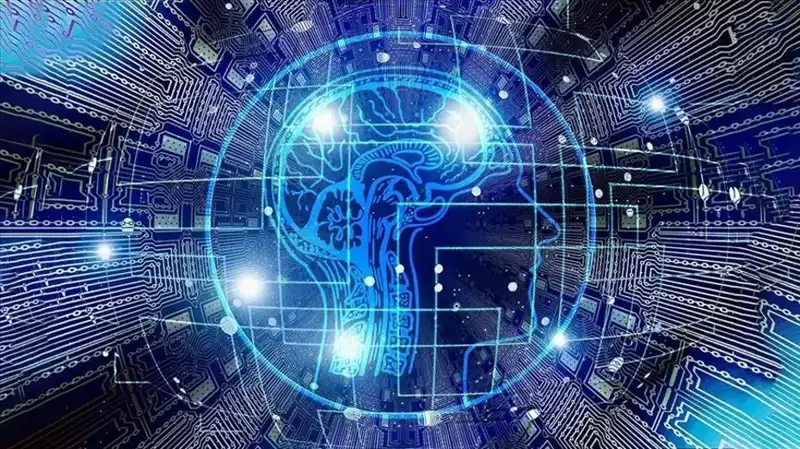 Kripto Para Dünyasında Bot Sürüsü: Yeni Dolandırıcılık Skandalı Ortaya Çıktı