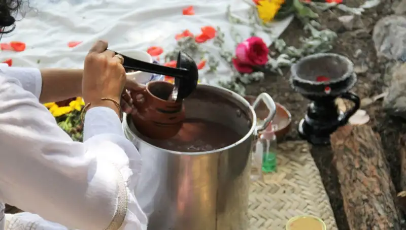 Ayahuasca: Gizemli Şifalı İçki ve Yasal Durumu Nedir?