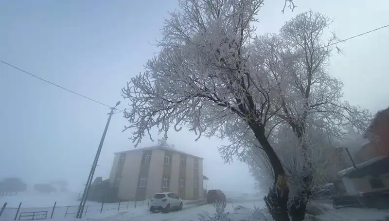 Göle'de Eksi 18 Derece: Soğuk Hava Rekoru Kırıldı