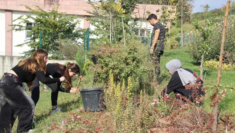 Düzce’nin Hayali Gerçek Oldu: Kültürel Mirasın Dünyaya Açılan Kapısı