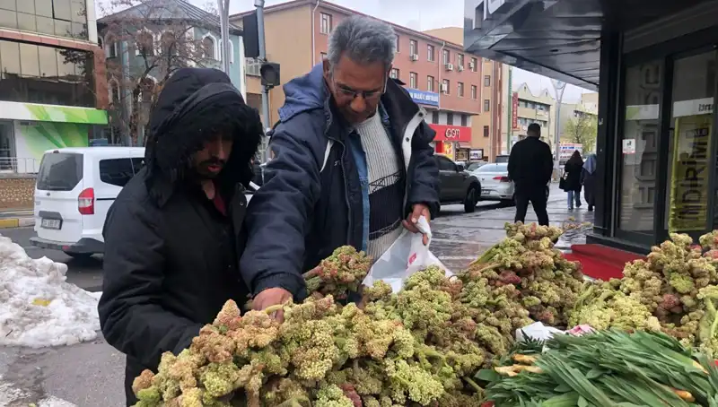 Kendiliğinden Yetişen Vitamin Deposunun Sağlık Üzerindeki Şaşırtıcı Etkileri